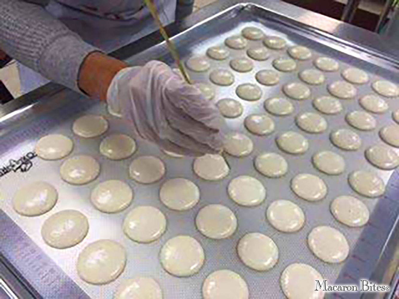 Macaron and Macaroon Gift Box - 24 Pack - Image 3